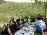 Picnic at Bogovë